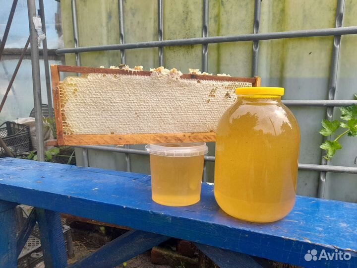 Мед с личной пасеки 2023 года