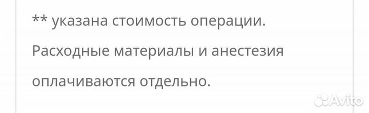 Морская свинка