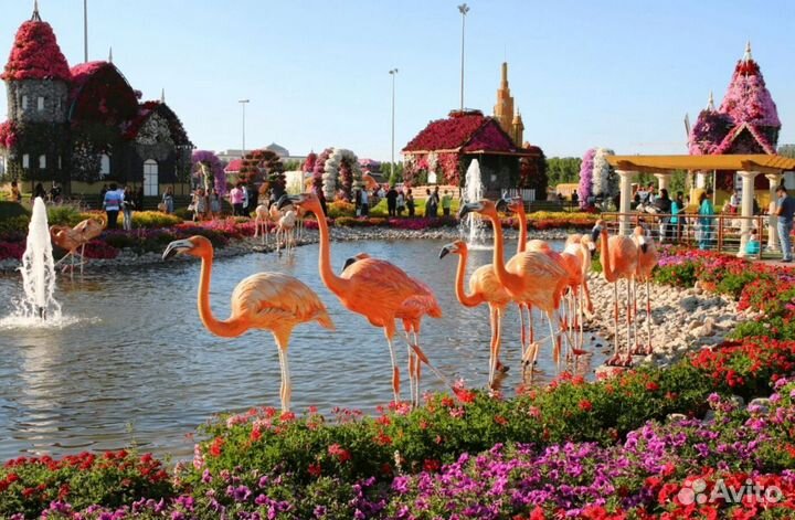 Тур в Dubai на 7 дн