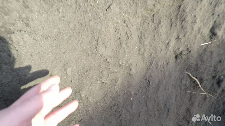 Торфогрунт под газон