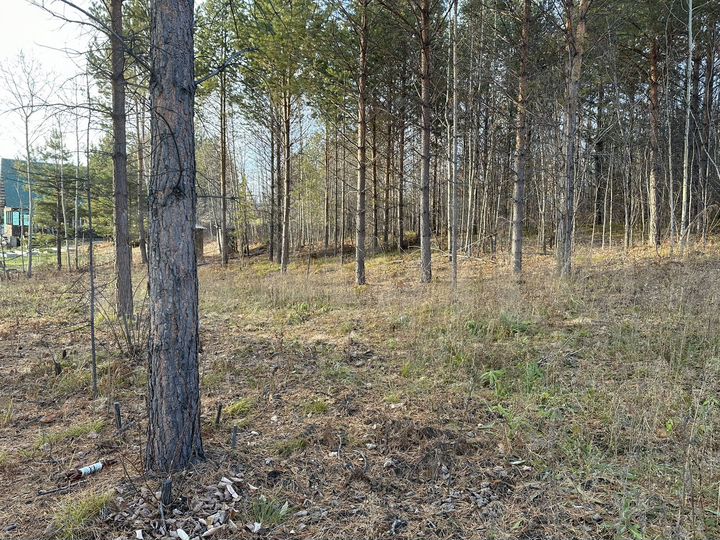 Участок 25 сот. (СНТ, ДНП)