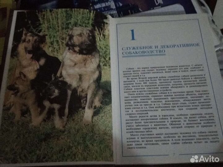 Книга Служебное и Декоративное собаководство 1997