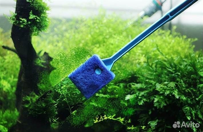 Аквариумист, чистка аквариумов. Срочный выезд