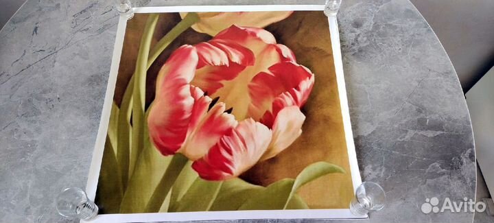 Фотообои цветы 54x54см