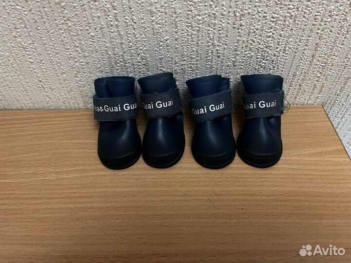 Обувь для собак