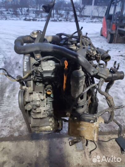 Двигатель Volkswagen Golf 4 (1997 - 2006) 1.9 AGR