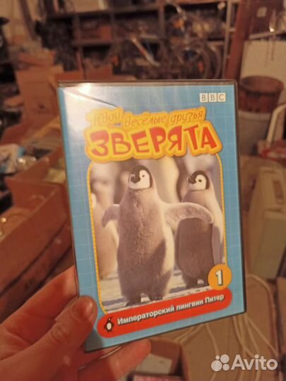 Dvd диски
