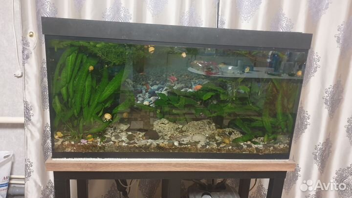 Аквариум