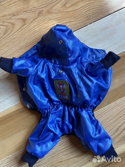 Куртка для собаки или кошки