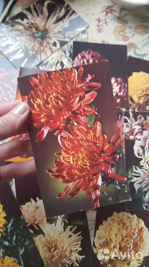 Винтажные открытки с вышивкой,цветами.Цена за два