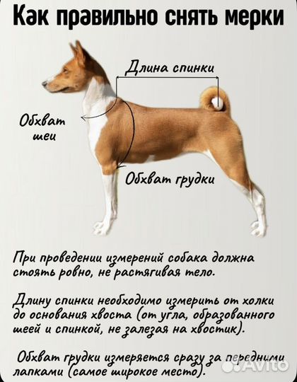 Комбинезон демисезонный для собаки