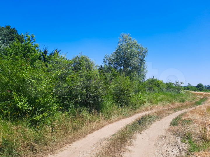 Участок 24,6 сот. (СНТ, ДНП)