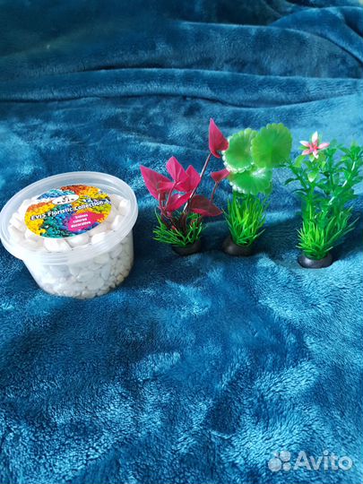 Аксессуары в аквариум