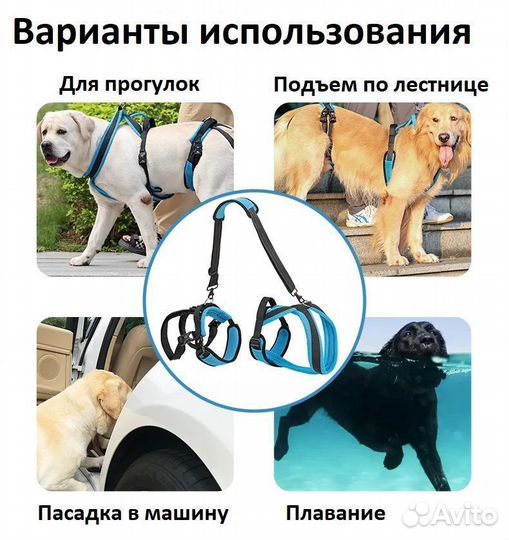 Полная поддержка для собак. Ходунки для собак