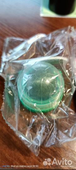 Кошачья мята