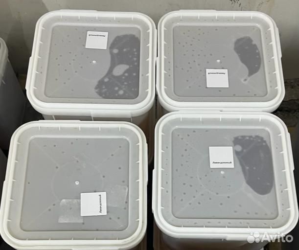 Гречишный мед оптом