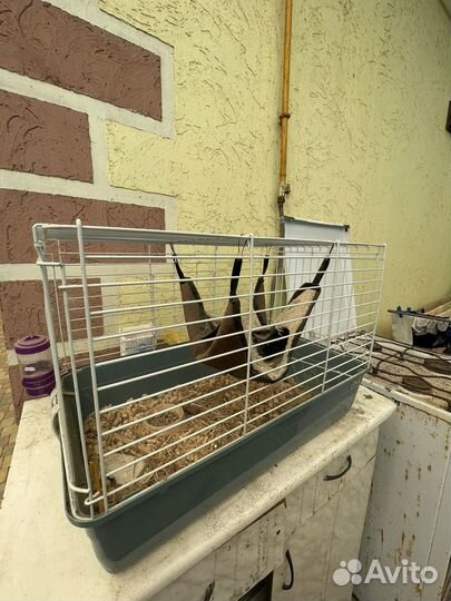 Клетка для грызунов