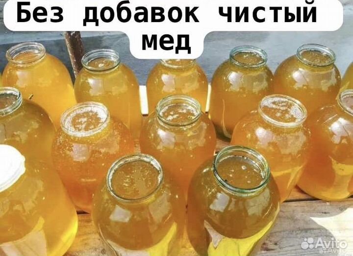 Мёд натуральный 100