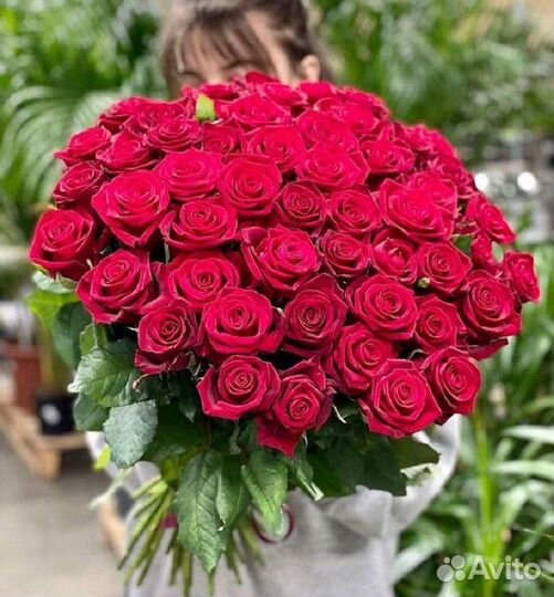 Розы Эквадор букет