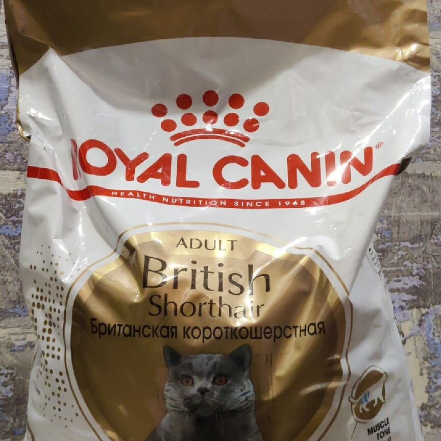 Royal Canin British Shorthair Adult 10 кг.   остат