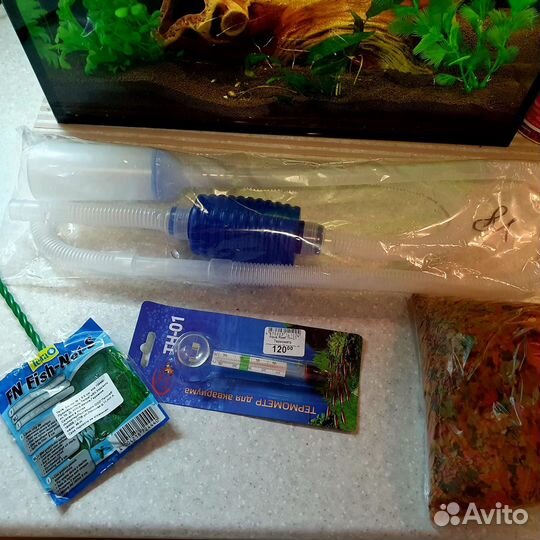 Аквариум с мирными рыбками и креветками