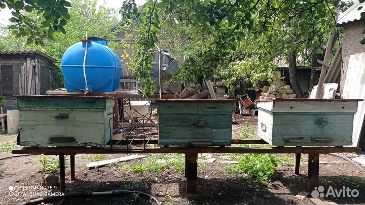 Продам ульи для пчел