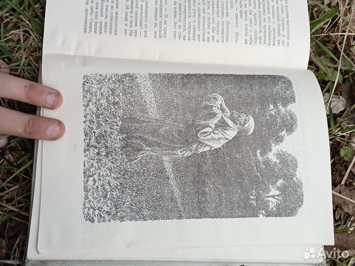 Книга В. М. Гаршина