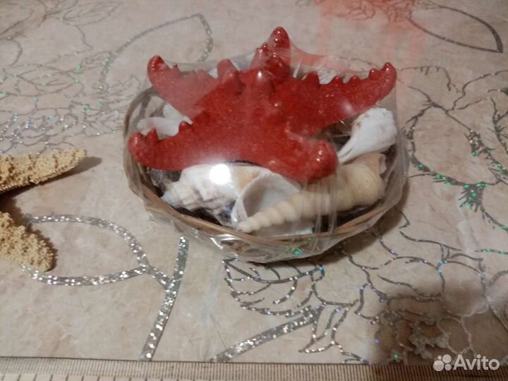 Набор ракушек запечатанные