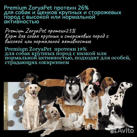 Сухой корм для собак Премиум Тула