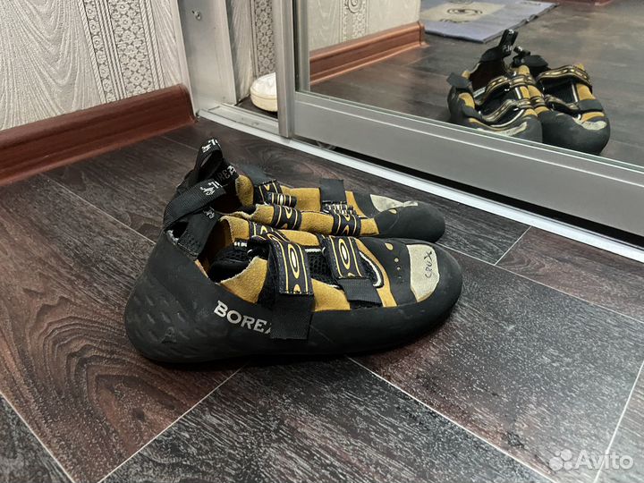 Скальные туфли