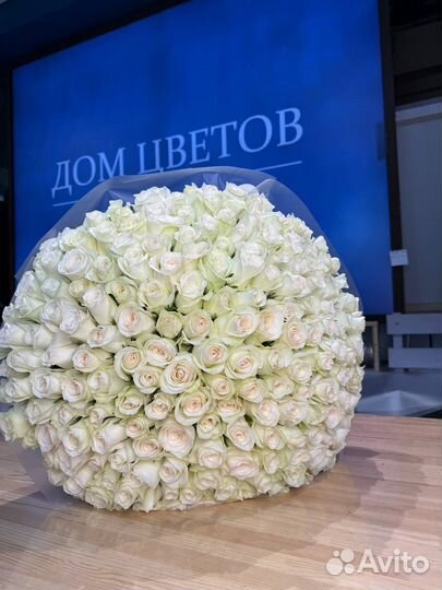 Букет из белых роз 201 шт