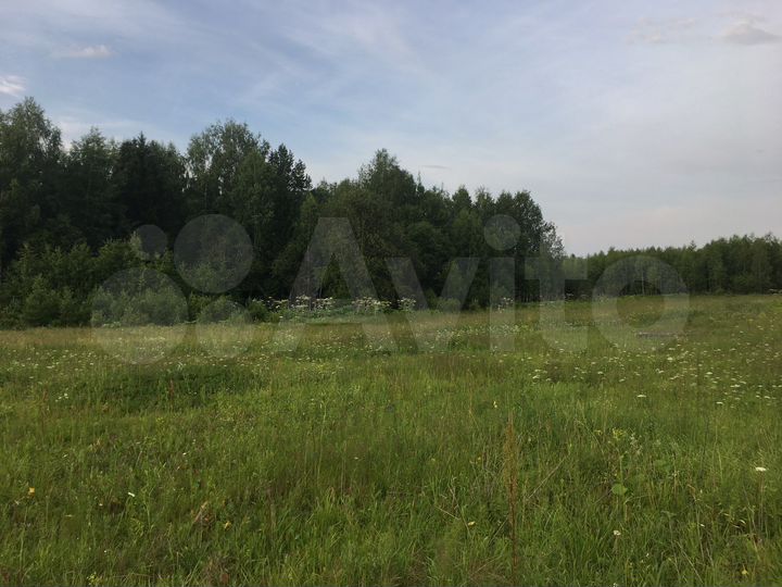 Участок 1,3 га (СНТ, ДНП)