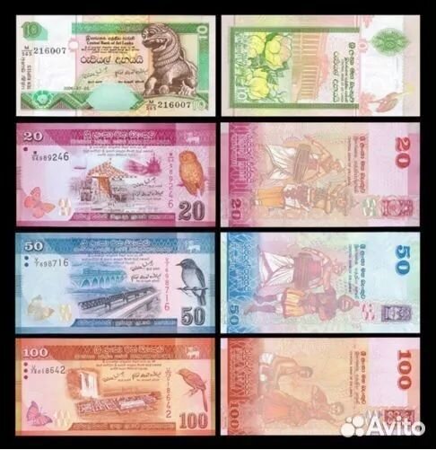 Афганистан Пакистан Индия Непал Бангладеш Мальдивы