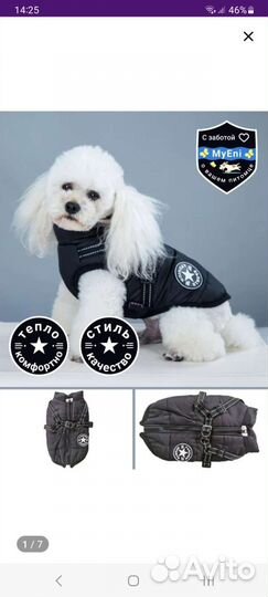 Осень - Зима жилетка для собак