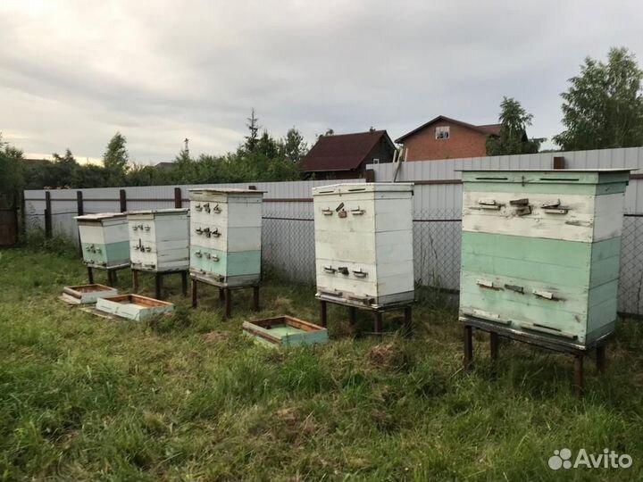 Ульи для пчел