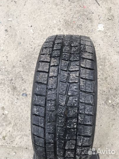 Dunlop Winter Maxx 215/45 R17 91W