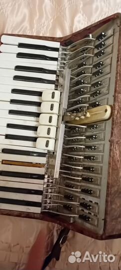 Орион 2 аккорд аккордеон