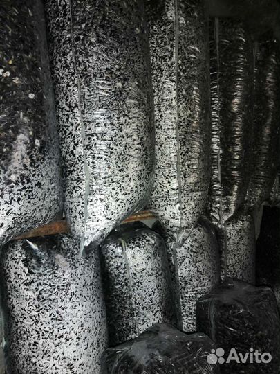 Грибные блоки вешенка