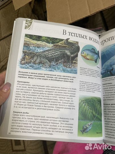 Детская энциклопедия махаон