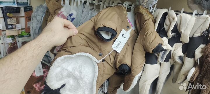 Одежда для собак