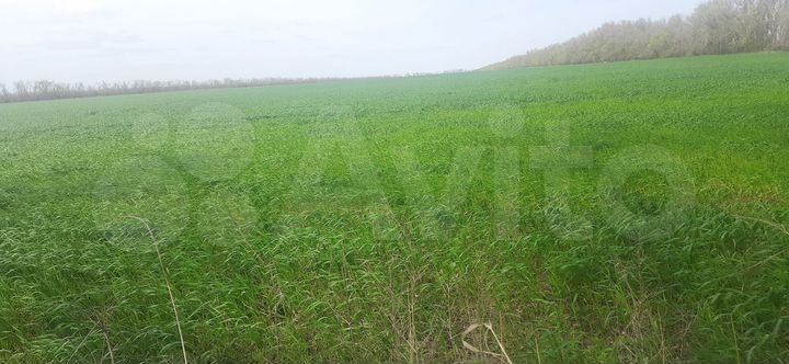 Участок 9,6 га (СНТ, ДНП)