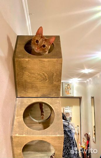 Игровой настенный комплекс для Кошки