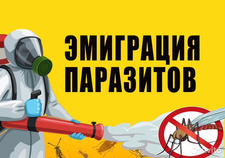 Обработка, выведение, тараканов, клопов, клещей