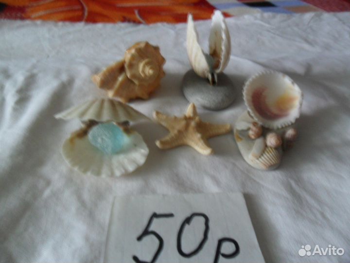 Ракушки для аквариума и не только