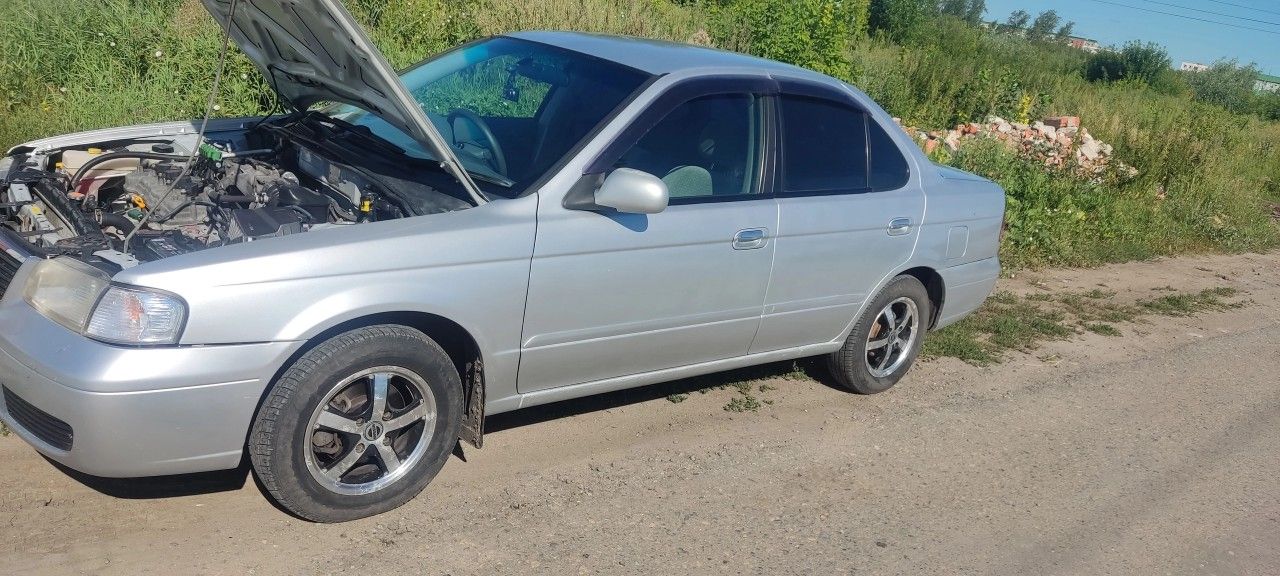 Nissan Sunny: фото владельца