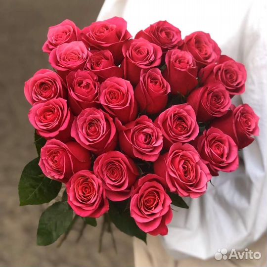 Роза Эквадор Голландия Доставка