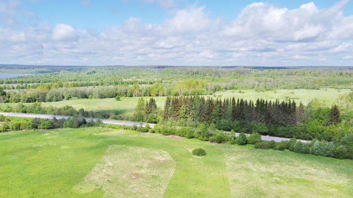 Участок 2,6 га (СНТ, ДНП)