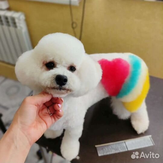 Груминг - Салон. Зоо-отель. Дрессировка собак