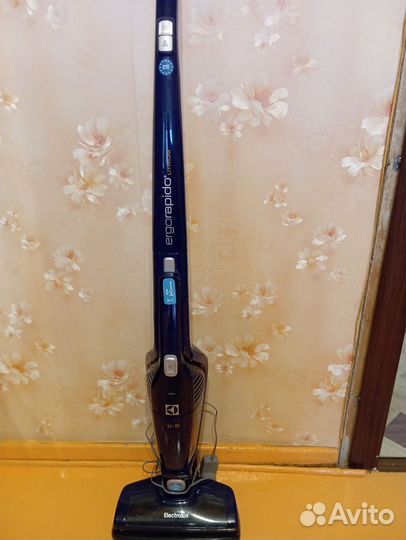 Пылесос Electrolux ergorapido