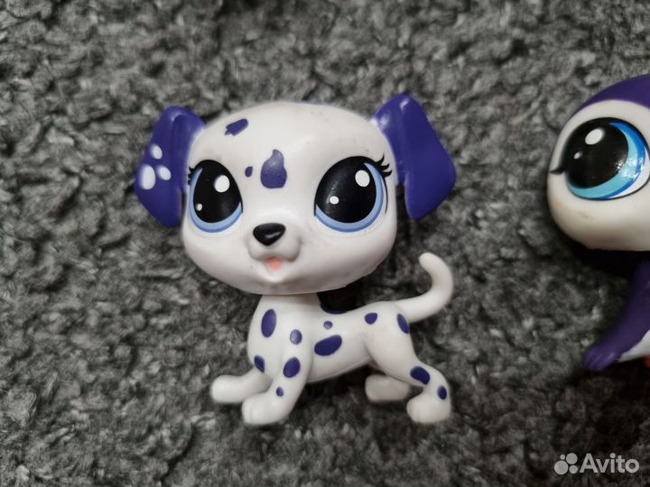 Littlest pet shop